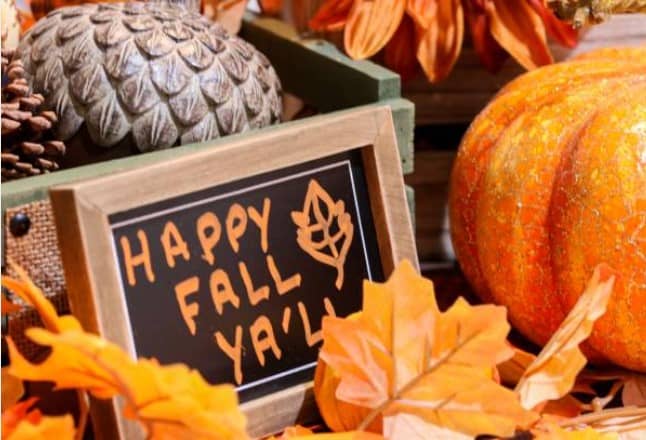 Happy Fall You All