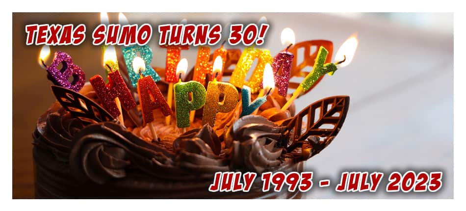 30th Birthday Party - Texas Sumo Party Rental